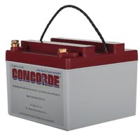 Concorde Battery RG24-10 24V 9AH