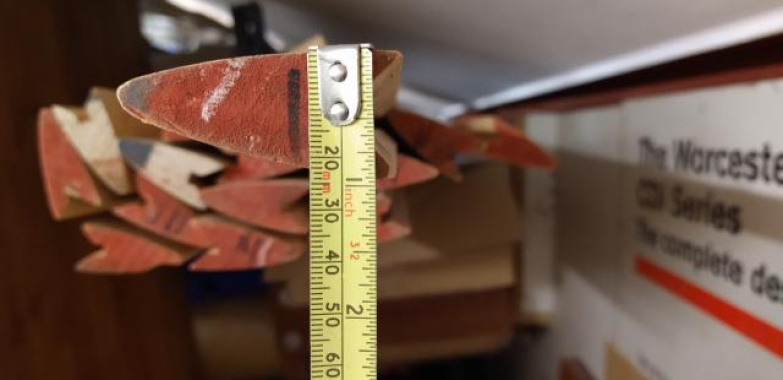 Airfoil wood section Kitfox