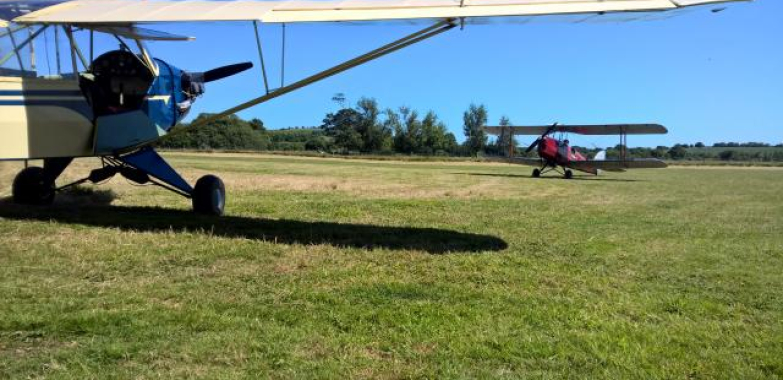 Piper Cub share Horsham