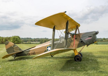20% Equity Share in Newly Restored DH82a Tiger Moth