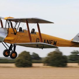 DH82A Tiger Moth share £6,500