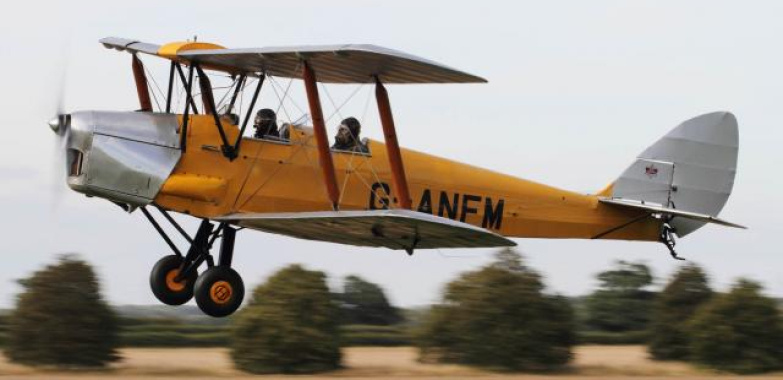DH82A Tiger Moth share £6,500