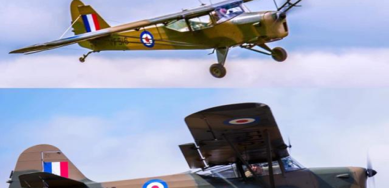 Auster AOP6