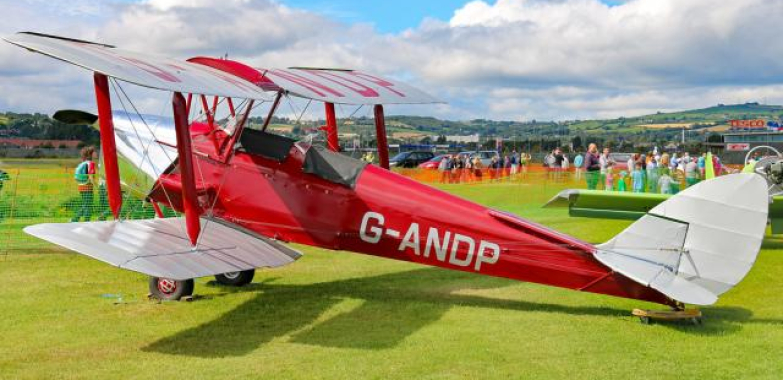 Tiger Moth Project